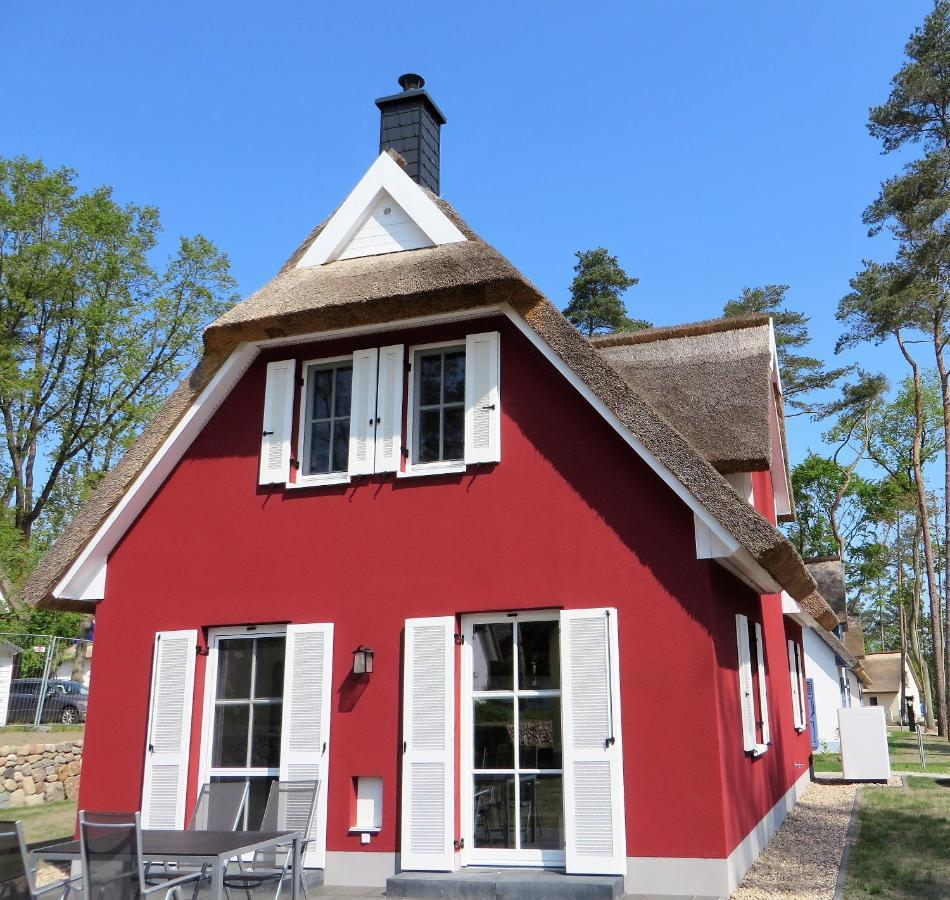 Reetdachhaus Am Haff Mit Sauna, Terrasse, Wlan Zirchow Dış mekan fotoğraf